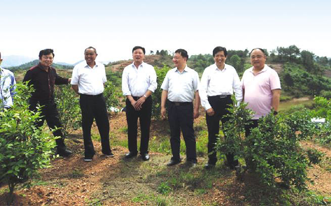 臨湘市人(rén)大(dà)領導來(lái)公司茶山九豐農業基地(dì / de)視察