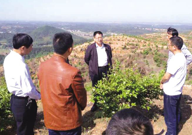 嶽陽市政協主席徐新楚(中)視察公司基地(dì / de)