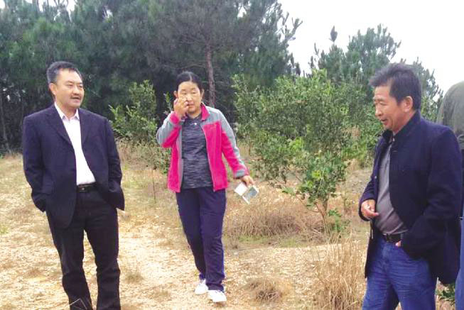 著名油茶專家陳永忠教授(左)來(lái)九豐農業公司基地(dì / de)考察