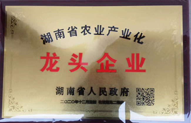 武漢楚虹農業發展有限公司被認定湖南省農業産業化龍頭企業