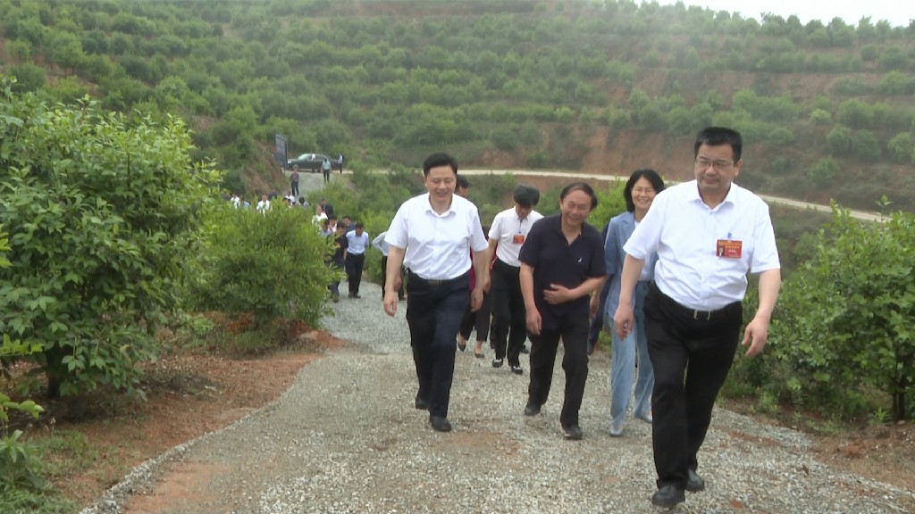 嶽陽市政協主席會議成員一(yī / yì ／yí)行視察九豐農業油茶基地(dì / de)