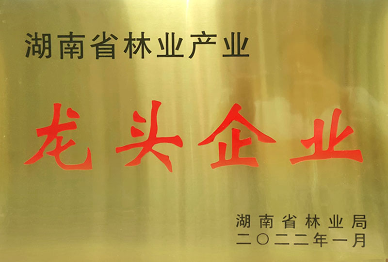 湖南省林業産業龍頭企業
