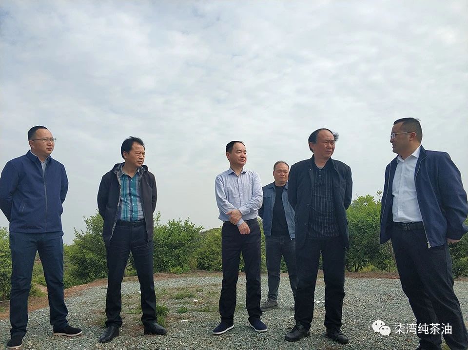 省林業局法規改革處及市區領導來(lái)九豐公司調研工作