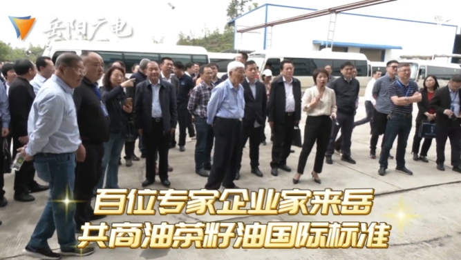 百位專家企業家來(lái)嶽 共商油茶籽油國(guó)際标準